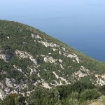 Πήλιο