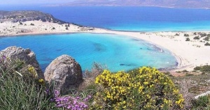Read more about the article ΕΛΑΦΟΝΗΣΟΣ – ΜΟΝΕΜΒΑΣΙΑ – ΝΕΑΠΟΛΗ