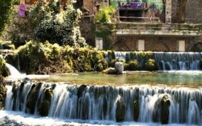 ΜΟΝΗ ΘΕΟΛΟΓΟΥ – ΑΡΒΑΝΙΤΣΑ – ΛΙΒΑΔΕΙΑ, 18/05