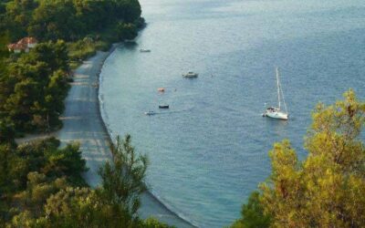 ΟΣΙΟΣ ΔΑΥΙΔ – ΡΟΒΙΕΣ,11/05