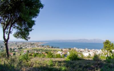 ΙΕΡΑ ΜΟΝΗ ΘΕΟΓΕΝΝΗΤΟΡΟΣ ΑΥΛΩΝΑΣ – ΩΡΩΠΟΣ, 04/05