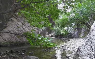 ΜΑΓΕΥΤΙΚΑ ΧΩΡΙΑ ΕΥΡΥΤΑΝΙΑΣ – ΑΓΟΡΙΑΝΗ, ΜΕ ΧΡΩΜΑΤΑ ΦΘΙΝΟΠΩΡΟΥ