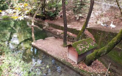 ΖΑΧΟΛΗ (ΕΥΡΩΣΤΙΝΗ) – ΠΑΝΑΓΙΑ ΚΑΤΑΦΥΓΙΩΝ – Ι. Ν. ΑΓΙΟΥ ΓΕΩΡΓΙΟΥ, 03/05