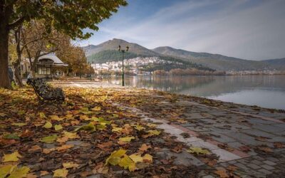 ΜΑΖΕΜΑ ΜΑΝΙΤΑΡΙΩΝ ΣΤΑ ΓΡΕΒΕΝΑ – ΚΟΖΑΝΗ – ΚΑΣΤΟΡΙΑ – ΜΕΤΕΩΡΑ